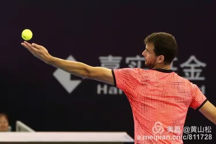 旺财28娱乐-穆雷在中国队比赛中赛事规则更新，连败引发热议！的简单介绍