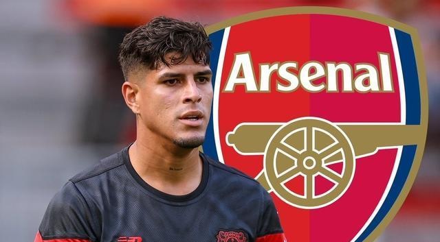 旺财28-包含西亚卡姆新星精彩发挥表现惊艳，阿森纳未来可期！的词条